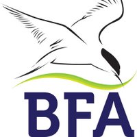 Birding For All (@birdingforall) 's Twitter Profile