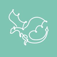 Del Obispo Dragons (@delodragons) 's Twitter Profile