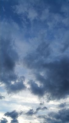 tsarvitch1's profile picture. 