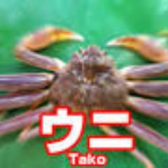 Ginnan_real's profile picture. O☆A☆SO☆BI