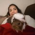 Annel 🐹🐹&🐶🐶 (@kutecurles) Twitter profile photo Annel 🐹🐹&🐶🐶 (@kutecurles) Twitter profile photo