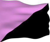 bash_homophobia is a local small grassroots queer anarchist action group as well as anti-capitalist and anti-racist and anti-fascist action activist.