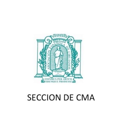 CMA de la AEC Profile