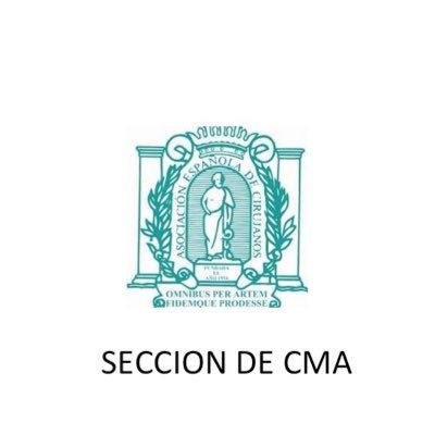 Cuenta de la sección de Cirugia Mayor Ambulatoria de la AEC. Official account of the Ambulatory Surgery Commite of the Spanish Association of Surgeons