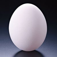 CHECKCHECK491's profile picture. 