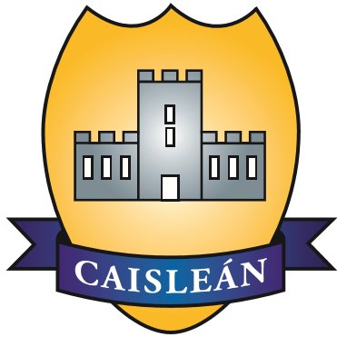 Drimnagh Castle PS Profile