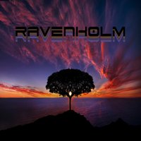 R A V E N H 0 L M (@ravenh0lm) 's Twitter Profile