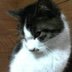 oooaki47ooo's profile picture. 土地くれ。