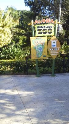 lCnkWyg0RIdcOzM's profile picture. 