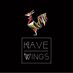 HaveWings (@havewingssa) Twitter profile photo HaveWings (@havewingssa) Twitter profile photo