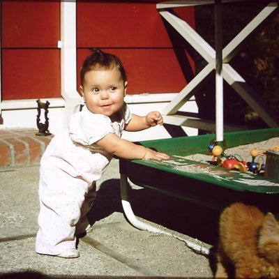 desireecdb's profile picture. Silicon Valley survivor now living far away, foster mom, lover of dogs, hater of maga, cancer survivor, incessant swearer, lover of kahlua