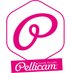 Pellicam (@pellicam) Twitter profile photo Pellicam (@pellicam) Twitter profile photo