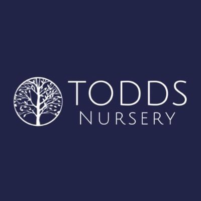 At Todds Nursery Ltd we are a modern and progressive tree, hedging and large shrub nursery growing fieldgrown, containerised and air-potted stock. 01462 813390.