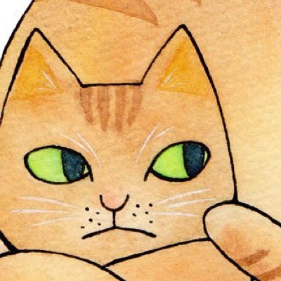 こはしももこさんのプロフィール画像