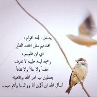 .Ab _ Alkalthami (@sssss87358940) Twitter profile photo