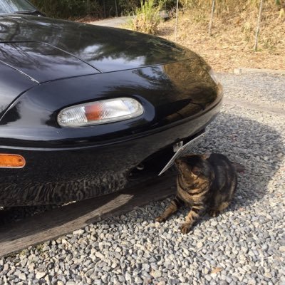 Eunos_1227's profile picture. 三菱電機の人