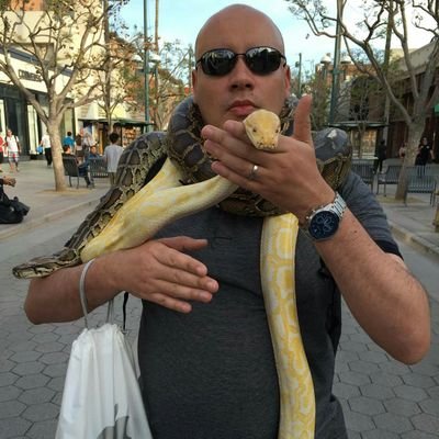 guaxinimnerd's profile picture. o mundo em que você vive não passa de uma mentira, é tudo uma programação, acorde, saía dessa rotina