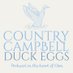 Country Campbell (@6duckeggs) Twitter profile photo