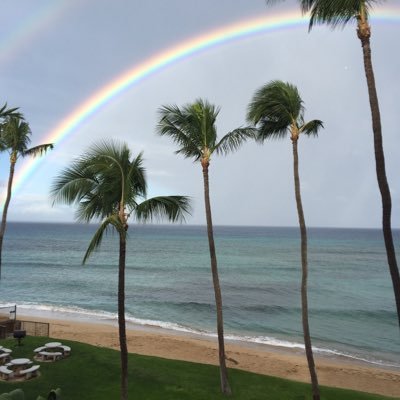 @goin2maui