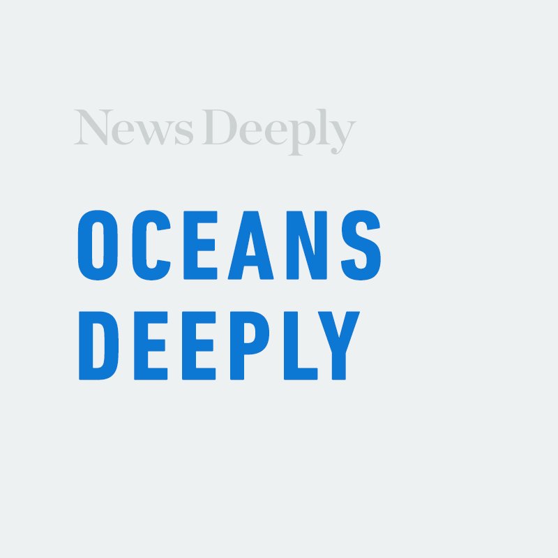 Take a deep dive into the latest news on the world's oceans. Sign up for our newsletter for weekly ocean updates. Part of @newsdeeply