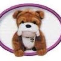 Louise Smart (@misslsmartgps) 's Twitter Profile Photo