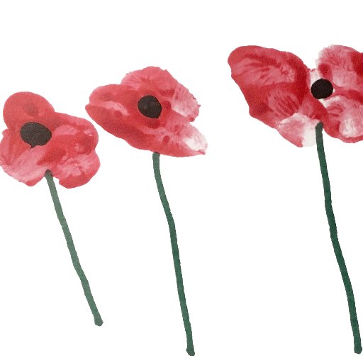 paperpoppyed's profile picture. Former Harlequin editor, now freelance editor and copywriter, specializing in romance and commercial fiction | You make beautiful things. We help them bloom.