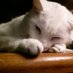 Brenda Miller (@brenda77526425) Twitter profile photo Brenda Miller (@brenda77526425) Twitter profile photo