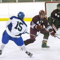 Section 2 Hockey (@sec2hockey) 's Twitter Profile