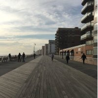 TheShortOnLongBeach (@theshortonlbny) 's Twitter Profile