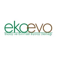 EkoEvo(@ekoevoder) 's Twitter Profile Photo