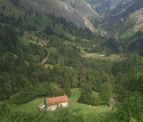 Maria3062005's profile picture. 