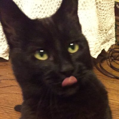 WrigleyGooner's profile picture. 