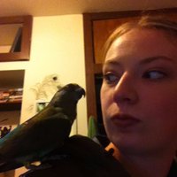 Megan Tomamichel (@megantomamichel) 's Twitter Profile