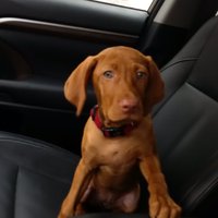 Scott Rowland (@rowlandscott) 's Twitter Profile Photo