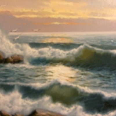 Elizabeth Sanchez-V Profile