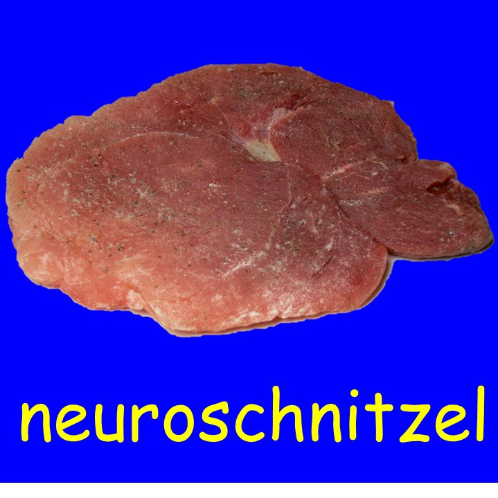 neuroschnitzel Profile Picture