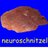 neuroschnitzel