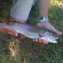 jeff broderick - @jeffbroder - Twitter