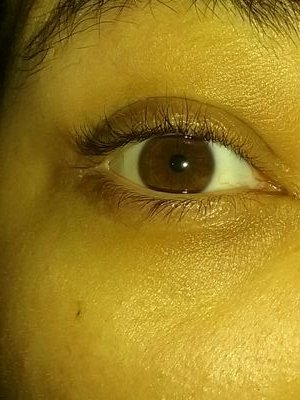 blackrose936's profile picture. Loves animals, making friends and playing games