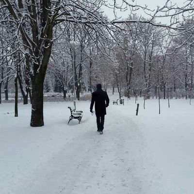 Nvito25's profile picture. 