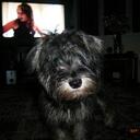 Sharon Hendry - @shendryuk2002 - Twitter