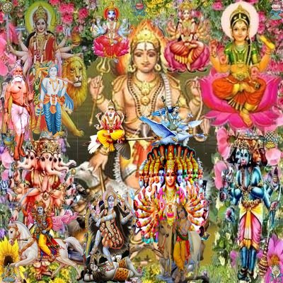 Roya_pettah's profile picture. 