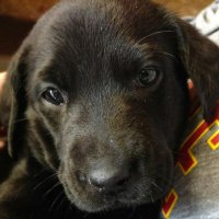 Jay Talbot (@jay_talbot79) 's Twitter Profile