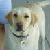 Regina Bass (@airbornemomma) Twitter profile photo Regina Bass (@airbornemomma) Twitter profile photo