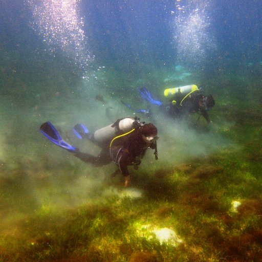 Seagrass Ecology Lab