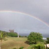 sumire (@happylifetomos) Twitter profile photo