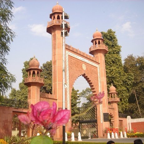 AMU, MY FIRST & LAST LOVE..!!