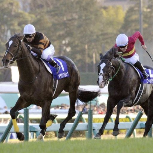 metro_2072's profile picture. ニコニコ動画始めました。メトロ　アイランドです　うごメモ。ミーバース。リアル脱出ゲームニンテンドー3dsをやっております。