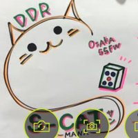 S-CAT!@SPY_bottom(@team_speedy_cat) 's Twitter Profile Photo