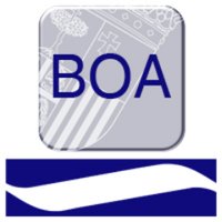 BOA (@boadeldia) 's Twitter Profile